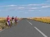 इस कैरिजवे में आप ड्राइव कर सकते हैं (संकेत 80) - diagram