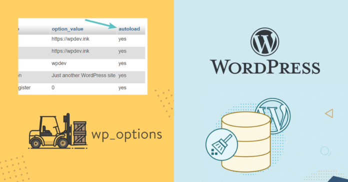How to Clean up wp_options Table and Autoload Data